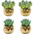 thumbnail image 1 of 4 Uds mini suculentas de simulación chapadas en oro flores bonsái decoración interior adornos plantas artificiales en macetas, 1 of 5