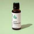 thumbnail image 3 of Plant Therapy Organic Peppermint Essential Oil, 100% Pure, USDA Certified Organic, for Diffusion, Skin, Hair, 30 mL (1 oz), 3 of 7