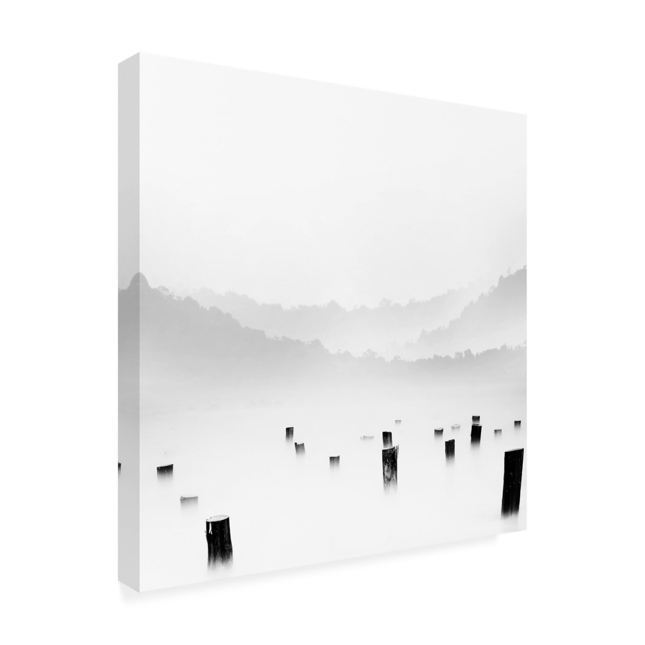 Canvas Wall Art - bonifasius wahyu adi 'Jow' Wall Art for Living Room, Bedroom, or Office Décor by Trademark Fine Art - 35 x 35 Inches