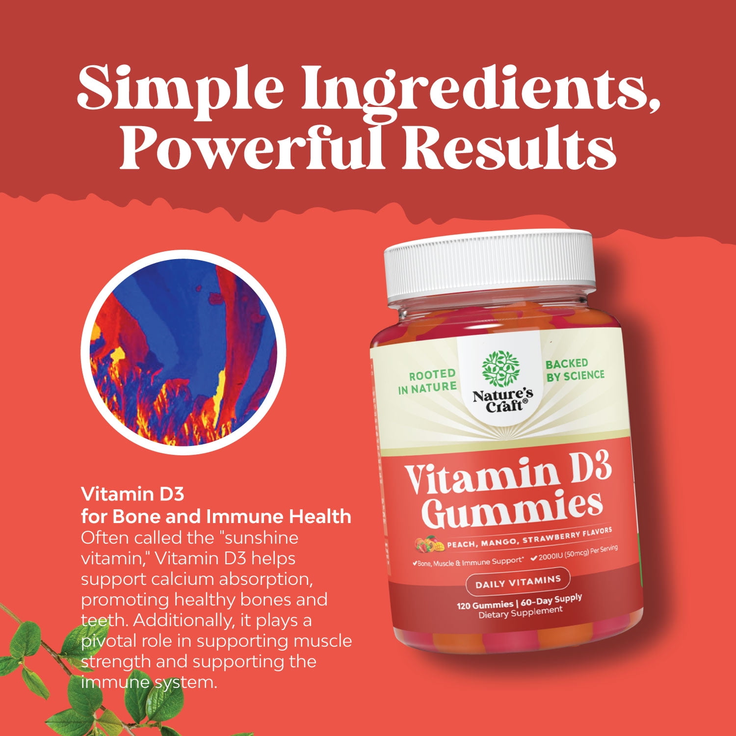 Delicious Chewable Vitamin D Gummies for Adults- Immune Support 2000IU per Serving Vitamins Plus Muscle and Bone Health - Gluten and Gelatin Free Non-GMO Fruit Flavors 120ct