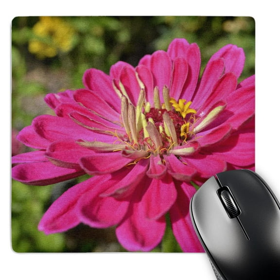 3dRose, Deep Pink Zinnia- Macro- Flowers- Photography, MousePad