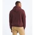 thumbnail image 2 of Sudadera con capucha The North Face Evolution Simple Dome para hombre Sumac, 2 of 4