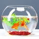 thumbnail image 4 of Juego de mesa HappyFiller Red Flat Marbles, 1 libra, 90 unidades, 4 of 9