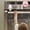 White, variant on EUDEMON 1 PackChildproof Oven Door Lock, Oven Front Lock Easy to Install and Use Durable and Heat-Resistant Material no Tools Need or Drill (Black)