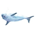 thumbnail image 2 of Watercolor Beluga Whale Wall Decal Wallmonkeys Peel and Stick Graphic (12 in W x 8 in H) WM502618, 2 of 4