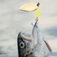 thumbnail image 1 of 50 Uds. De cuentas de pesca apiladas, cuentas apiladas de pesca para accesorios de pesca de carpa, 1 of 6
