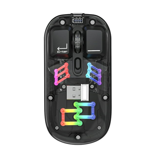 Graflsoa Souris Sans Fil Transparente à Double Mode H118 avec Éclairage RVB, 2,4 G+Bluetooth, 1600 Dpi Réglable, Couverture Magnétique, Charge USB‐C, Batterie 400 mAh, Commutateur Silencieux, 11 Modes d'Éclairage,