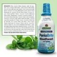 thumbnail image 3 of Nature's Answer PerioWash Mouthwash Alcohol-Free Winter Mint - 16 fl oz, 3 of 7