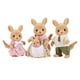 thumbnail image 1 of Muñecas coleccionables Toy Calico Critters Hopper Kangaroo Family, 1 of 5