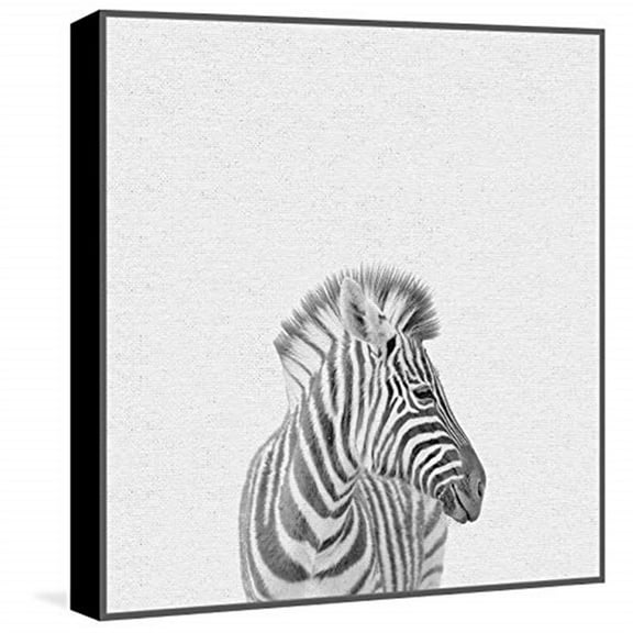 Black & White Zebra Floater Framed Painting Print on Canvas