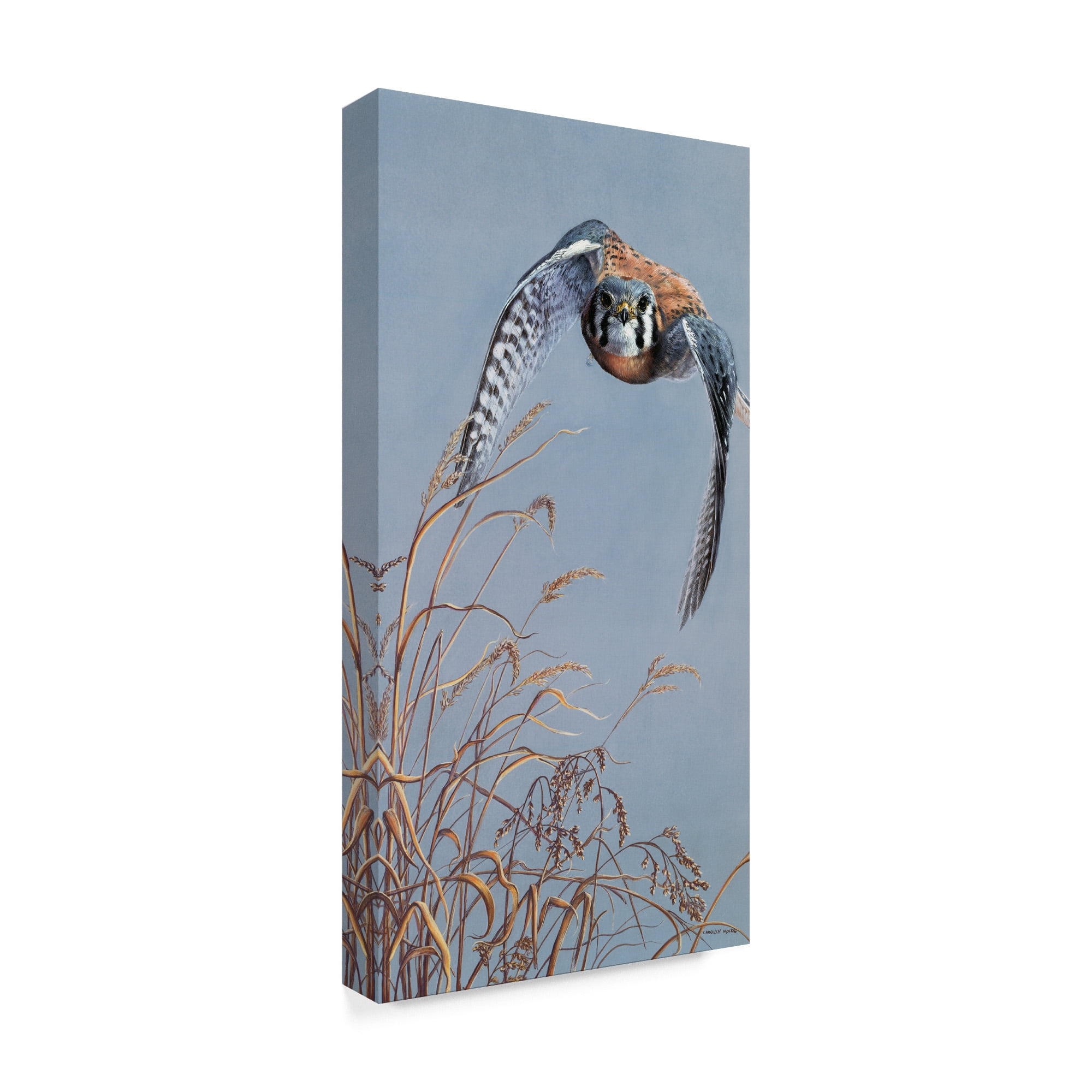 Trademark Fine Art 'Prairie Lighting' Canvas Art by Carolyn Mock
