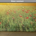 thumbnail image 6 of Ambesonne Nature Place Mats Set of 4, Sunset at Meadow Poppy, Standard Size, Red Green Blue, 6 of 6