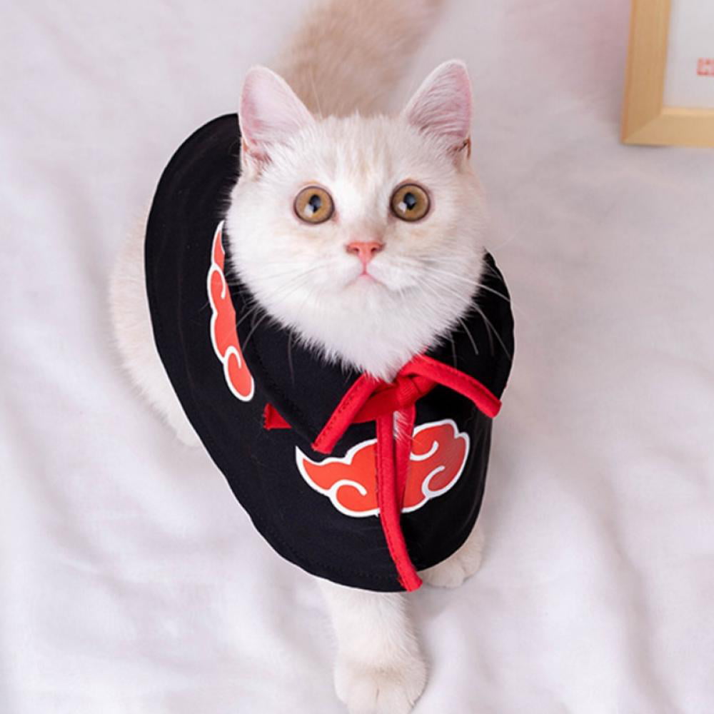 5 Pcs Creative Cat Costume Kitten Tail Ears Collar Paws Gloves Anime Ta  Gothic Set For Party  Fruugo IN