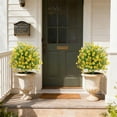 thumbnail image 5 of Gumesh Artificial Plants Outdoor Flowers- UV Resistant Boxwood & Baby’s Breath Greenery for Porch, Patio, Garden, All Season Faux Plants in Pot, 5 of 6