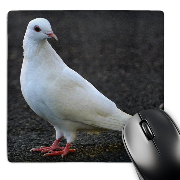 3dRose, Dove, MousePad