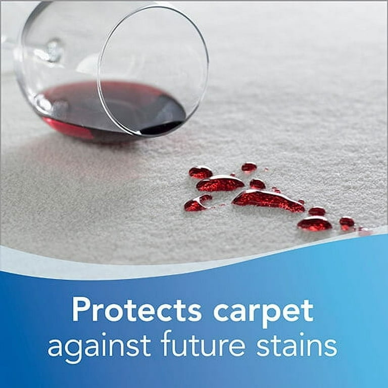 Woolite® Heavy Traffic® Foam Carpet Cleaner 08209
