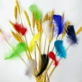 thumbnail image 5 of Light Pink 600pcs Colorful Feathers 20 Colors Craft Feathers 3-5 Inches Assorted Rainbow Colors Feathers for Kids Handmade Wedding DIY Decorations Natural Feather, 5 of 8