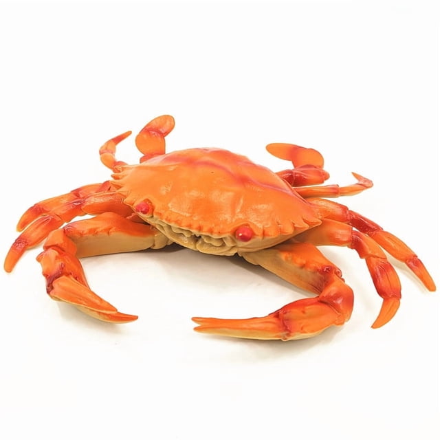 Figura de cangrejo de plástico, realista, modelo océano, 25 cm