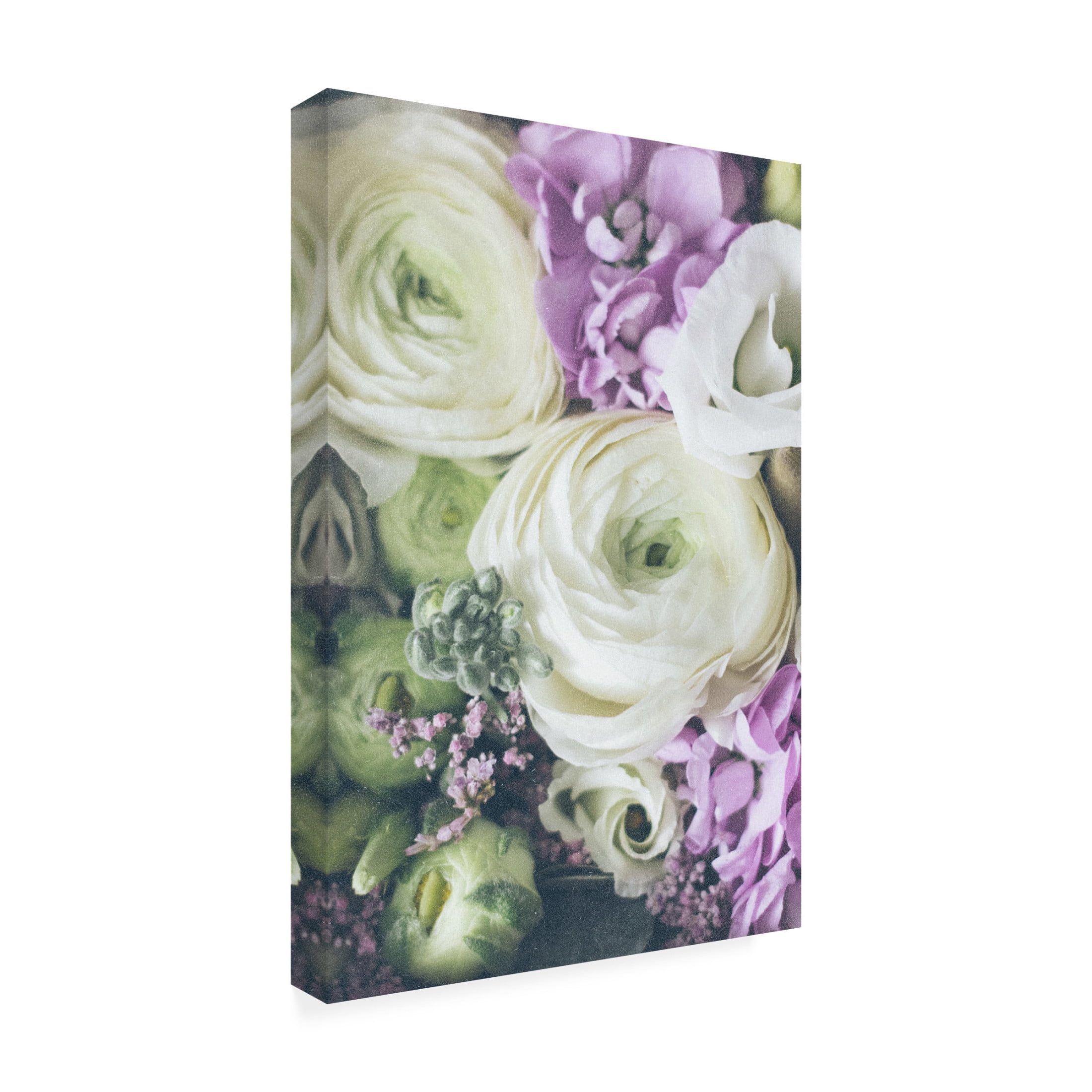 Trademark Fine Art uplusmestudio Lovely Ranunculus Canvas Wall Art