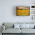 thumbnail image 2 of Piotr Krol 'Sunflowers' Canvas Art, 2 of 4