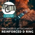 thumbnail image 4 of Embark Urban Dog Collar – Dog Collar Stylish & Durable Nylon Dog Collar for Large Dogs, Small Dogs & Medium Dogs.Comfortable Pet Collar Strong Buckles for Any Size Breed |Puppy Collars|, 4 of 8