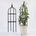 thumbnail image 2 of Doolland Plant Support Set Stainless Steel Adjustable U-Hoops for Garden Climbing Plants, 2 of 2