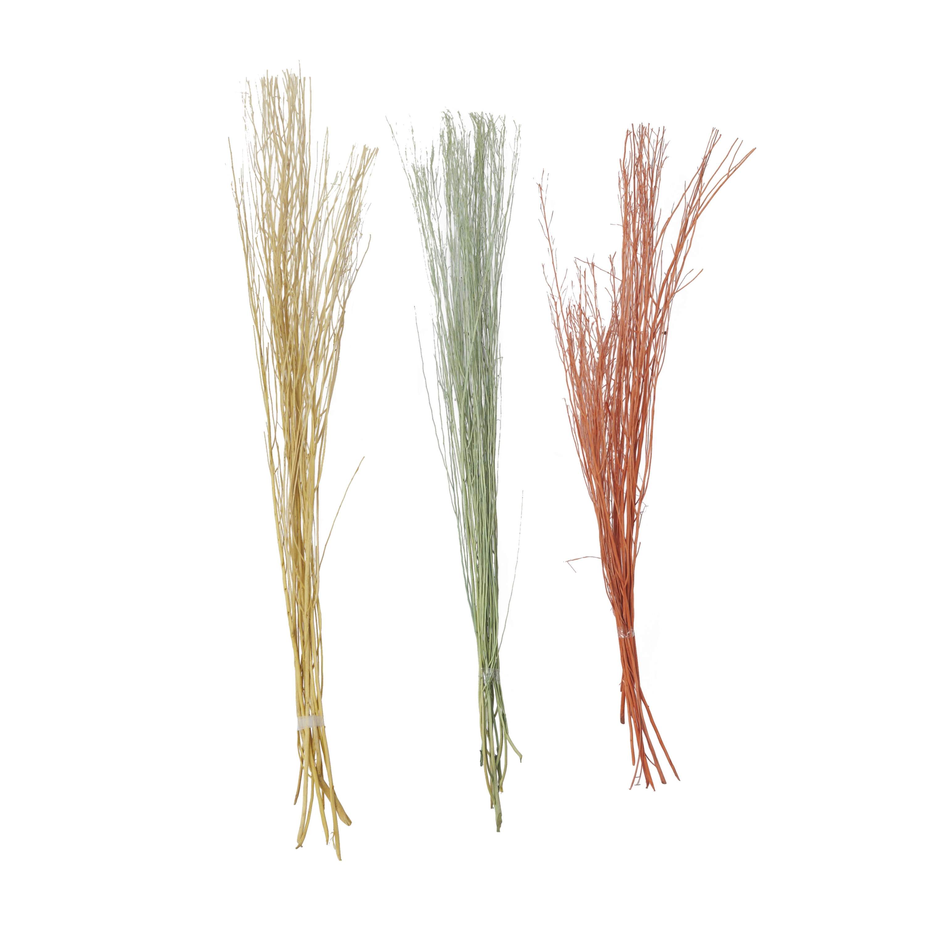 57" Dried Plant Natural Foliage Pigeon pea Bouquet, by DecMode (3 Count)