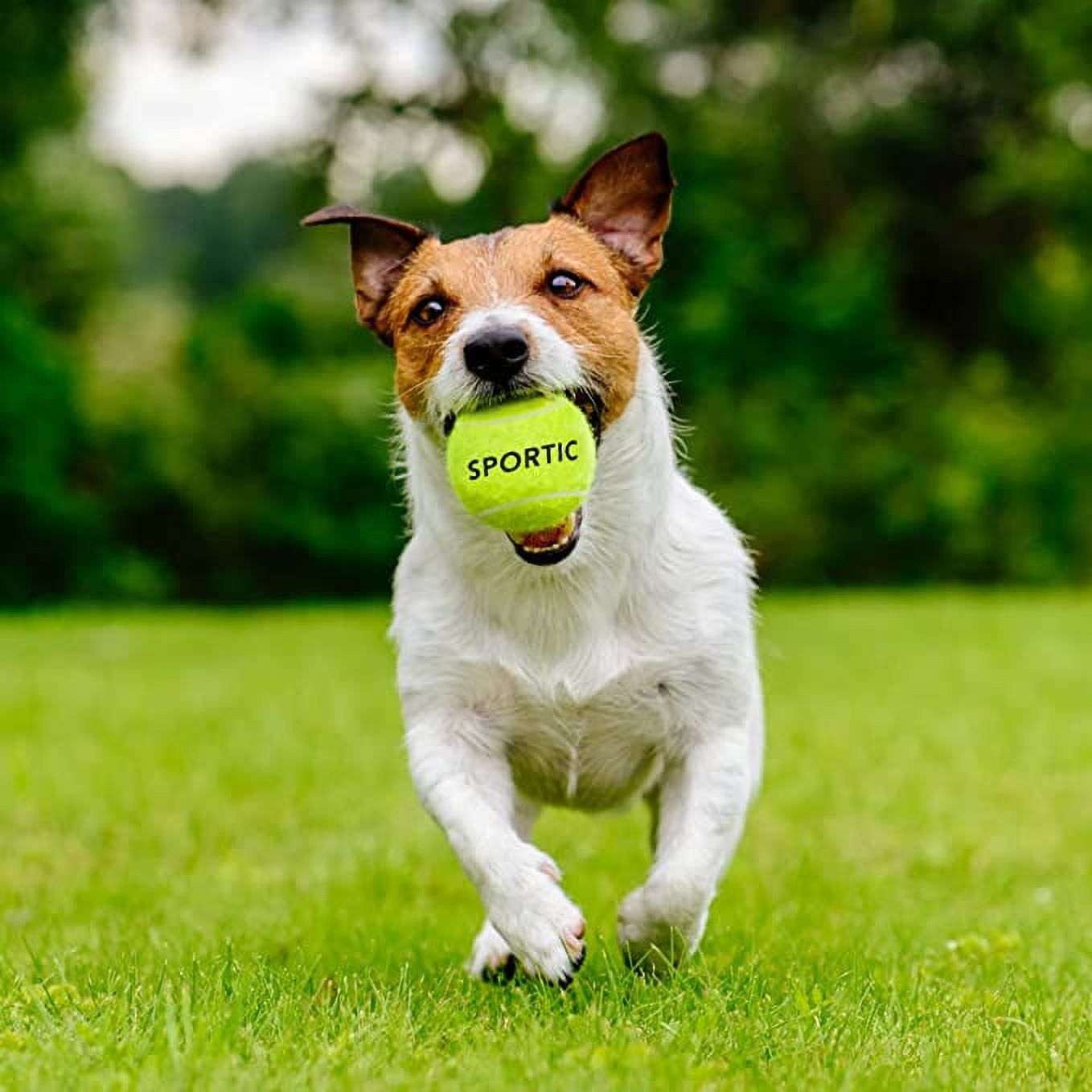 SPORTIC Tennis Balls, Training Tennis Balls, High Bounce Practice Tennis Balls with Mesh Bag for Easy Transport, Pet Dog Playing Balls, Duty Felt Pressurized Tennis Ball for Beginner Training