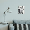 thumbnail image 2 of Stupell Industries Dalmatian Pet Dog Portrait Bold Spotted Dog Wall Plaque, 10 x 15, Design by George Dyachenko, 2 of 6