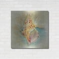 thumbnail image 3 of Luxe Metal Art 'Aquatica I' by Steve Hunziker Metal Wall Art, 36"x36", 3 of 7