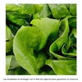 thumbnail image 2 of Lechuga mini romaine Eva hidropónica 2 pieza, 2 of 3