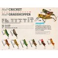 thumbnail image 3 of Rebel Lures Crickhopper Fishing Lure (1 1/2-Inch, Black Cricket), 3 of 5