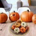 thumbnail image 7 of 9 Pcs Mini Artificial Pumpkins, Assorted Small Rustic Foam Pumpkins for Fall Decor, Harvest Thanksgiving Table Centerpiece, Halloween Vase Fillers and Home Decorations, 7 of 7