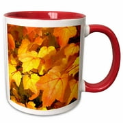 3dRose Beautiful Orange And Gold Fall Leaves - Two Tone Red Mug, 11-ounce