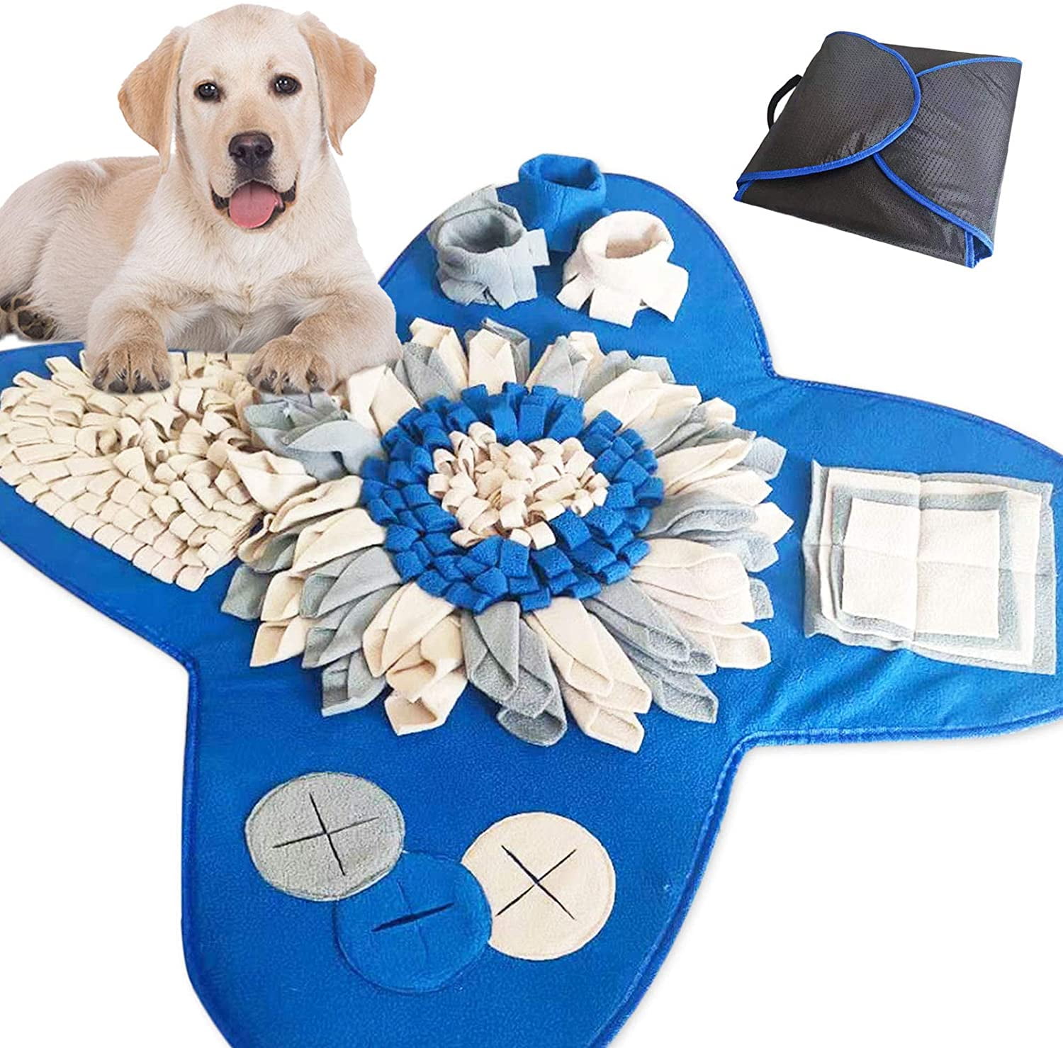 How Does A Dogs Nose Work