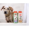 thumbnail image 4 of Hartz Groomer's Best Soothing Oatmeal Dog Shampoo, Buttermilk, 18 fl oz (2 Pack) (Bundle), 4 of 5