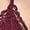Wine Red, variant on Women'S Floral Lace Trim Camisole Spaghetti Strap Fitted Shirt Top Summer Crop Tops Wine Red S