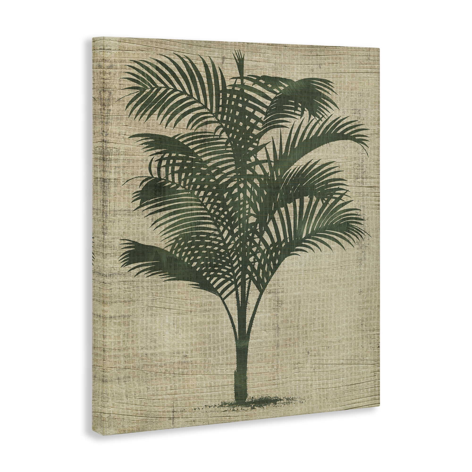 Stupell Industries Vintage Palm Plant Plants & Flowers Painting Wrapped Canvas Art Print Wall Art, 16 x 20