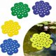 thumbnail image 2 of 4 Bebederos Flotantes de PVC con Forma de Flor para Abejas. Ideales para Polinizadores., 2 of 6