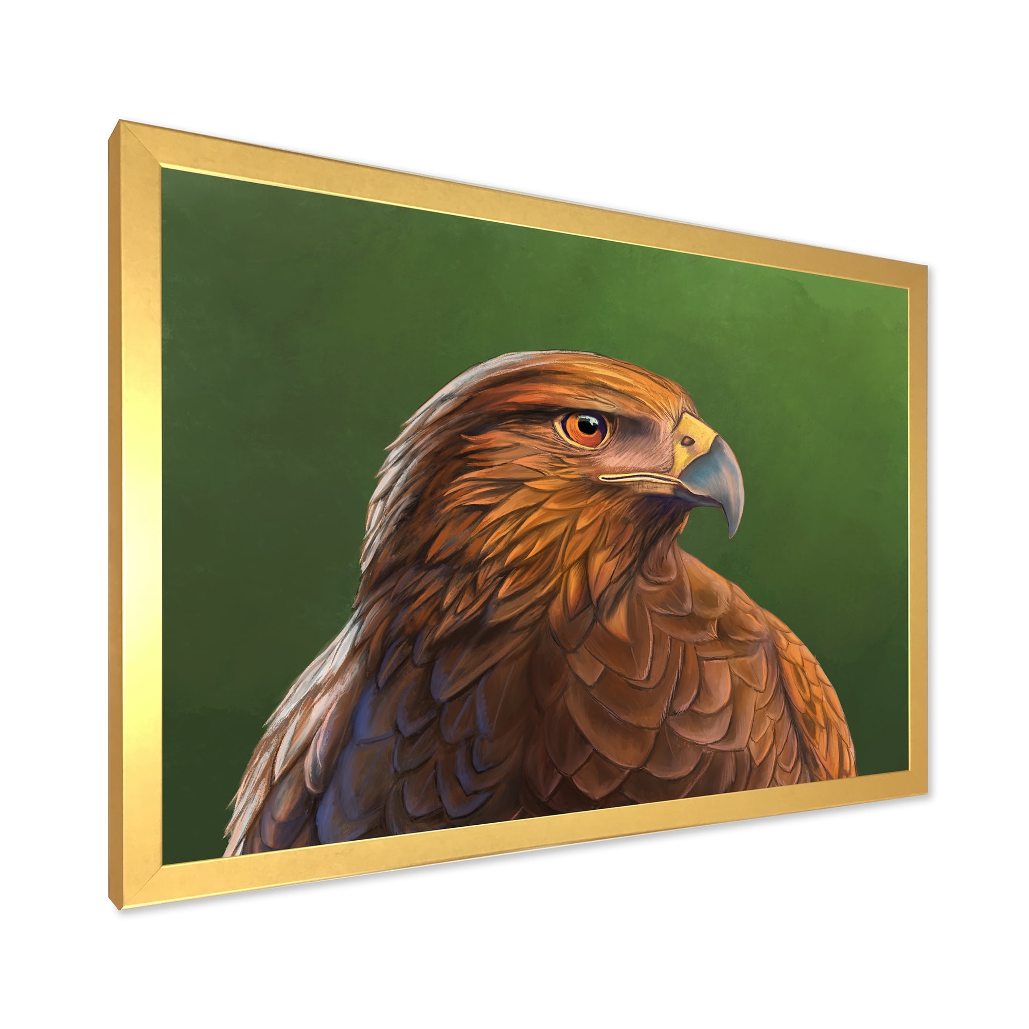 Designart 'Close UP Of Harris Hawk Bird' Traditional Framed Art Print