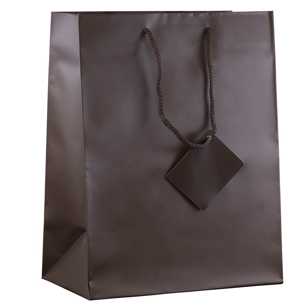 JAM Matte Gift Bag, 10 x 13 x 5, Brown, 1/Pack, Large
