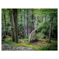 thumbnail image 2 of Forêt de Mousse Dense en Vert - Impression sur Toile Paysage, 2 of 3