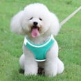 thumbnail image 2 of Chaleco para perros, cuerda de tracción, perro pequeño, gato, perro, cuerda de tracción para pasear, osito de peluche, 2 of 4