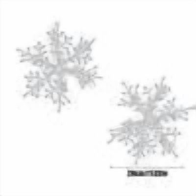 Hioyaky Christmas Snowflake Snowflake String Decoration Christmas Tree Decoration Pendant For Christmas Decoration Christmas Tree Hanging Embellishments And Craft Diy