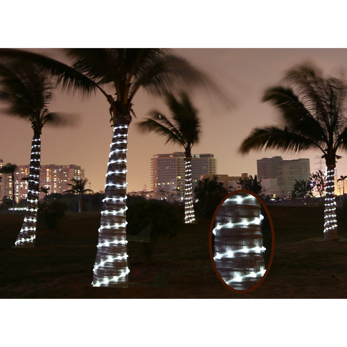 Ktaxon 32 8ft 100 Led Solar Rope String Garden Light Waterproof Ktaxon 32 8ft 100 Led Solar Rope String Garden Light Waterproof Com