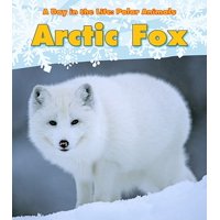 Arctic Fox