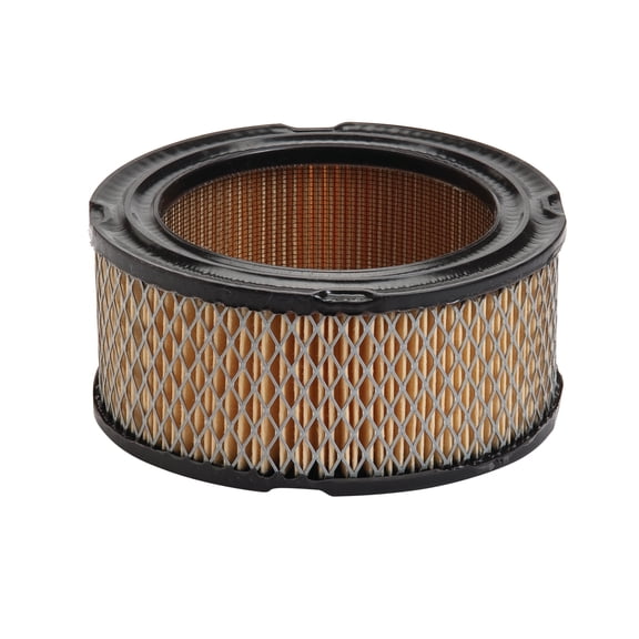 Oregon 30-022 Air Filter for Briggs & Stratton 251400 252400 253400 255400 series 392286