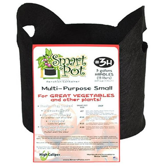 High Caliper Growing 21003RT 3 Gallon- Black Patented Small Smart Pot With Handles