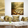 thumbnail image 4 of Designart Broken Drought Land with Dark Clouds - African Landscape Printed Throw Pillow - 16x16, 4 of 5