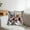 Gray, variant on Soft Fuzzy Cat Pillow Cover 18x18 Inch, Decorative Throw Pillow with Hidden Zipper, Cute Pet Gift for Pet Lovers Women Ki-ds, Home Bedroom Living Room Office Decor